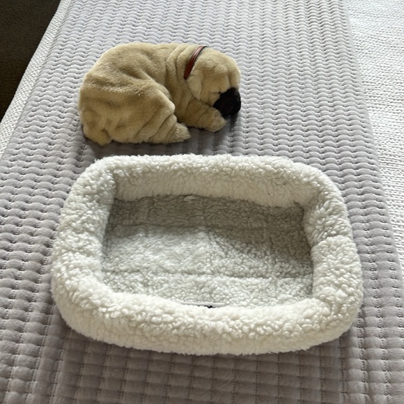 Perfect ❤️ Petzz - Picture 4 of 6